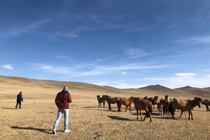 Excursión privada de un día al Parque Nacional Hustai Nuruu