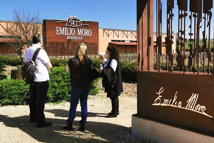 Tour Premium à Ribera del Duero com Guia Tecnólogo
