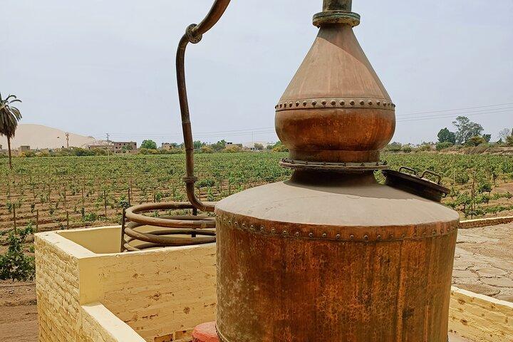 Vista Alegre Winery: Klassieke rondleiding + Ambachtelijke wijnmakerij