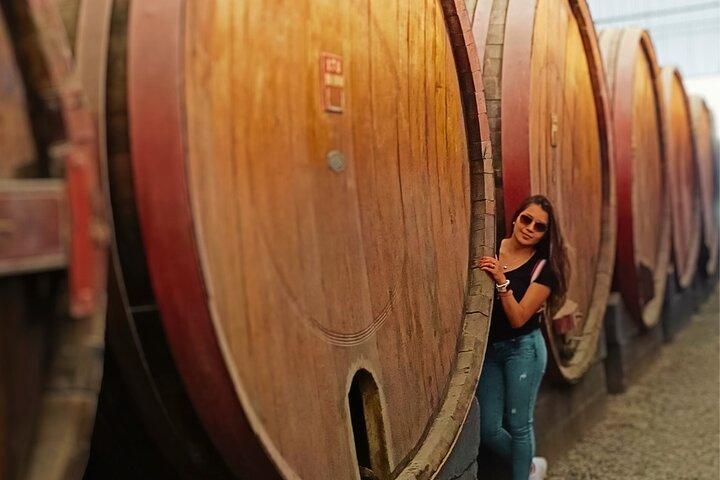 Vista Alegre Winery: Klassieke rondleiding + Ambachtelijke wijnmakerij