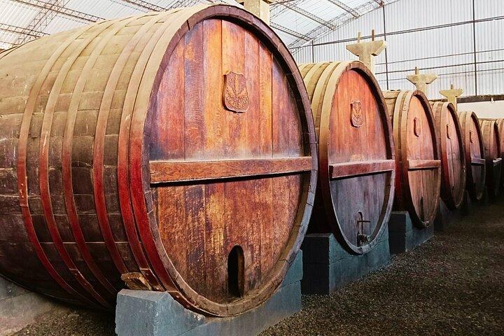 Vista Alegre Winery: Klassieke rondleiding + Ambachtelijke wijnmakerij