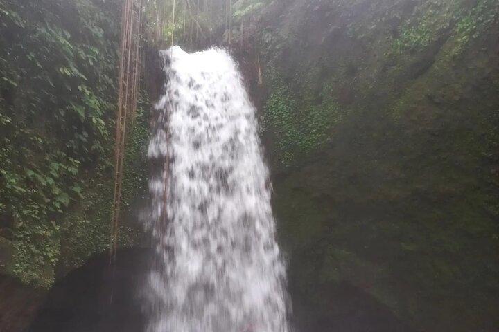 CRETYA Ubud infinitypool + Hidden Waterfall + Water Temple Tour
