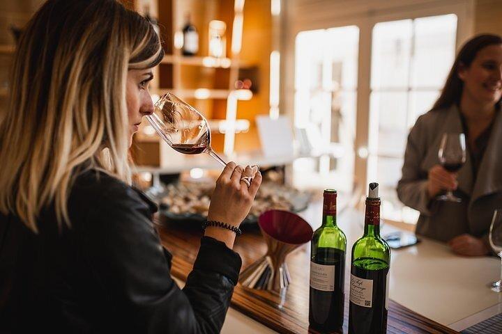 Médoc : Dagstur med mat och vin