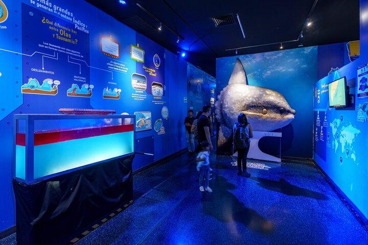 Inbursa Aquarium ticket