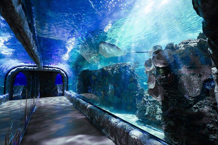 Inbursa Aquarium biljett