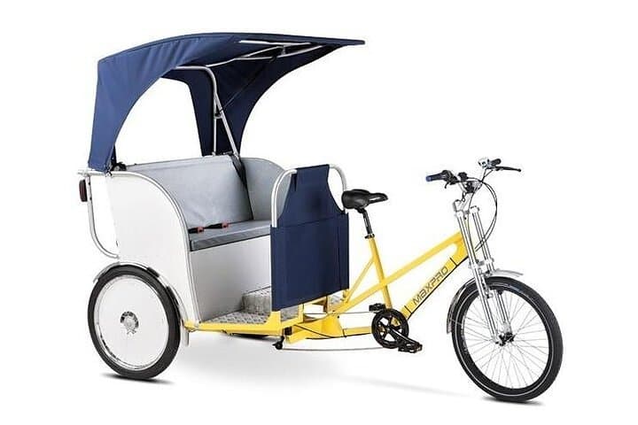 1 hour Amsterdam City Tour in Pedicab