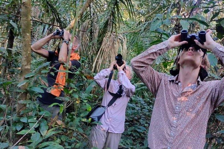experiencia en la selva amazónica 3 días 2 noches