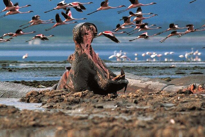 Tagestour zum Lake Naivasha und zum Hell's Gate Nationalpark