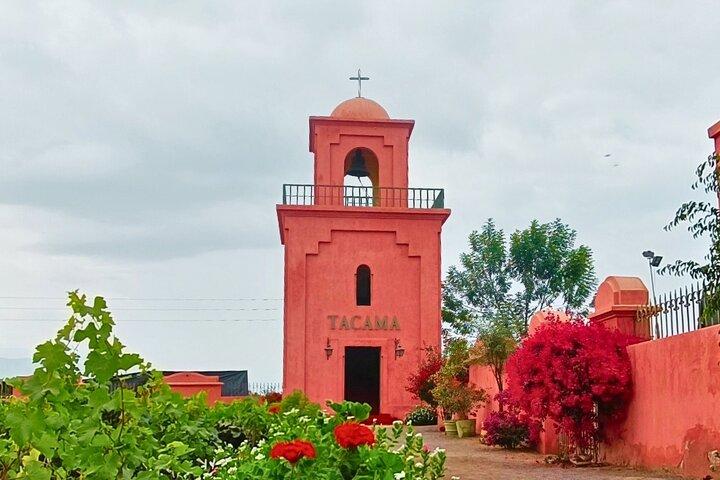 Bodega Tacama: Tour Don Manuel con Cata