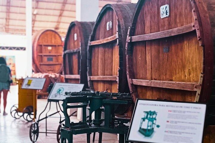 Bodega Tacama: Tour Don Manuel con Cata