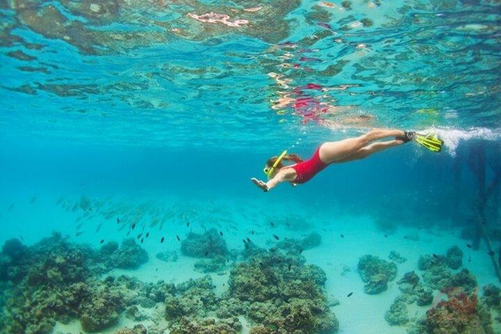 Nha Trang Bay: Explore meio dia de snorkeling no Coral Reef