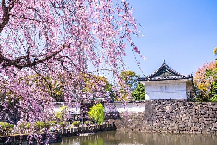 Excursão privada em Tóquio: Imperial Palace East Gardens, Edo Castle Site