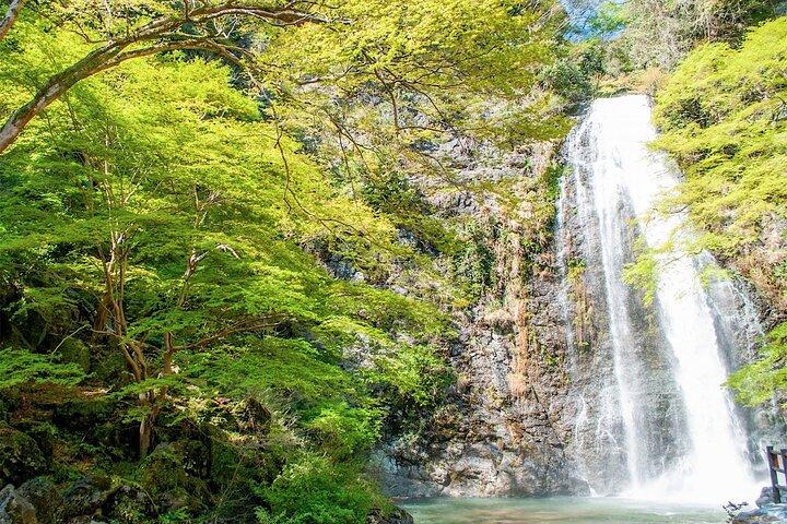 Natuurwandeling in Minoo Park, de beste natuur en waterval in Osaka