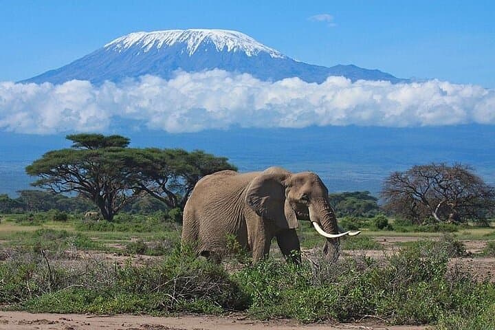 Group Joining Overnight Safari Amboseli from Nairobi