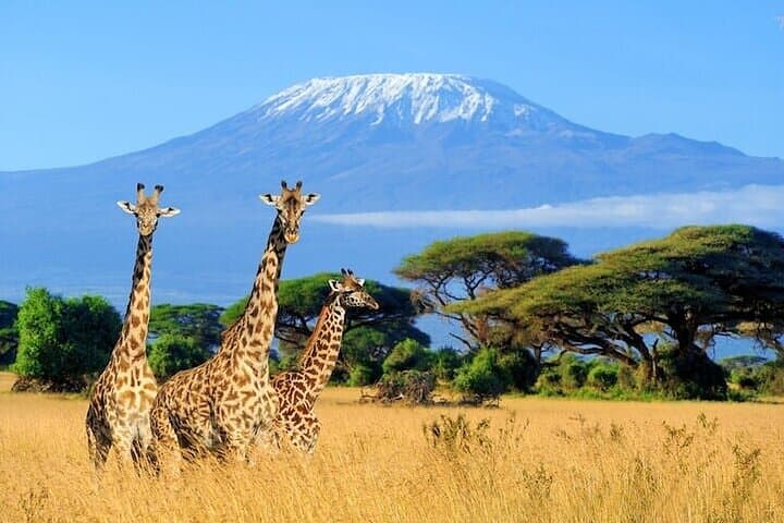 Group Joining Overnight Safari Amboseli from Nairobi