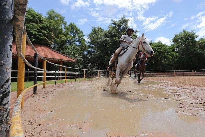 Siem Reap Happy Horse Riding Free Pick-up & Drop-off