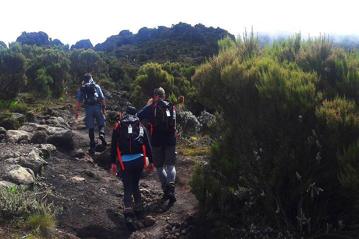 Climb Kilimanjaro - Marangu Route 8 Day Program