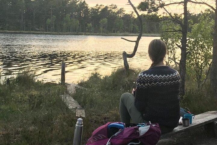 Midnight Sun Hike & Campfire Wild Dinner i - Parque Nacional Tyresta