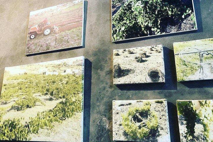 サントリーニ ワイン オデッセイ:ワイナリー、ワイン付き 4 コース ランチ