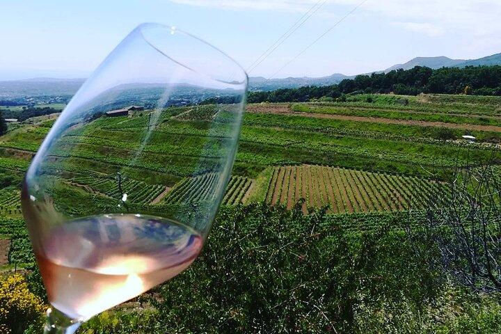 Grand Wine Tour de Catane ou Taormina