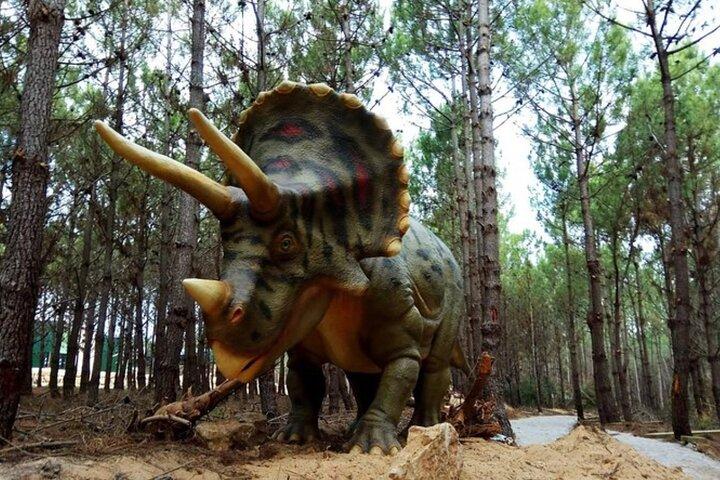 Parque de los Dinosaurios - Tour familiar de medio día