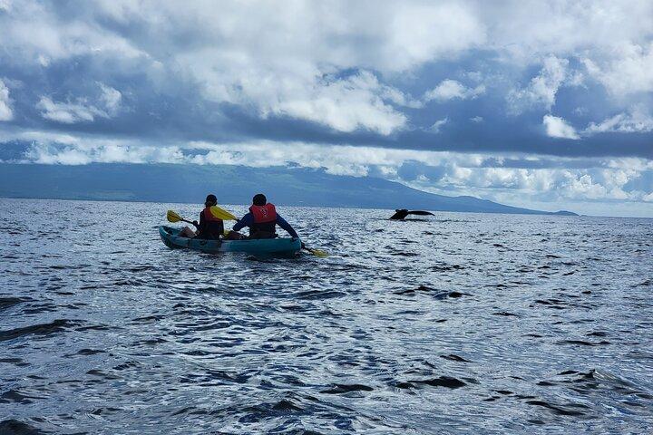 Kayak e snorkeling Tour-Olowalu Maui