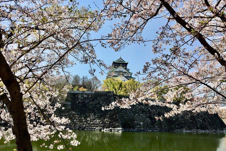 Visita guiada privada de tres horas al Castillo de Osaka.