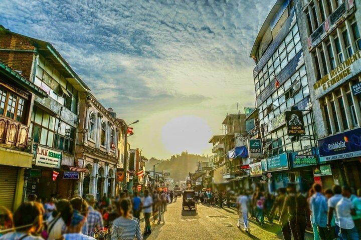 Kandy-Tagestour ab Bentota