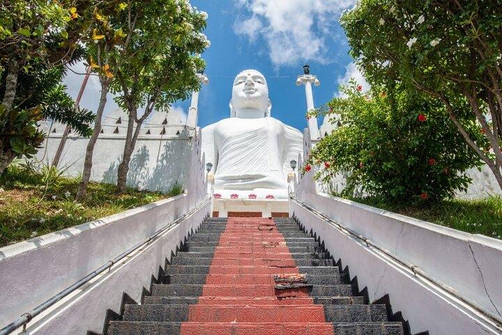Kandy-Tagestour ab Bentota