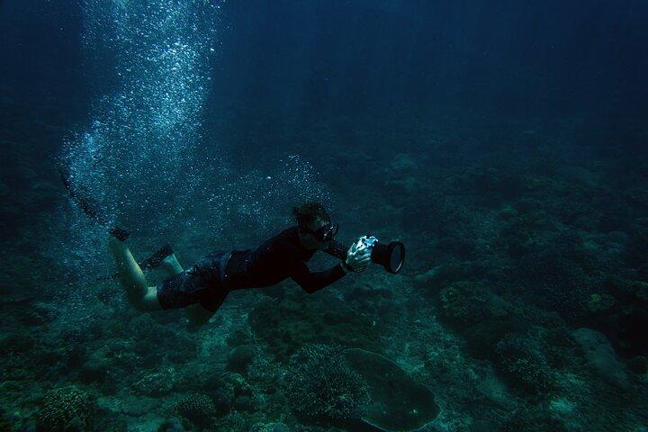 Dubai: Scuba dykning eventyr