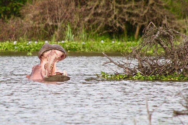 ヘルズゲートへの日帰りツアーとオプションでナイバシャ湖でのボートツアー