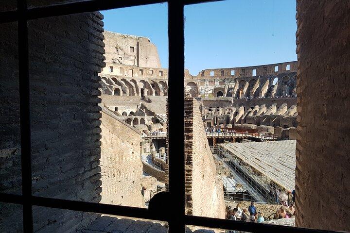 Roma: Coliseu Gladiator Arena Fórum e Palatine Guided Tour