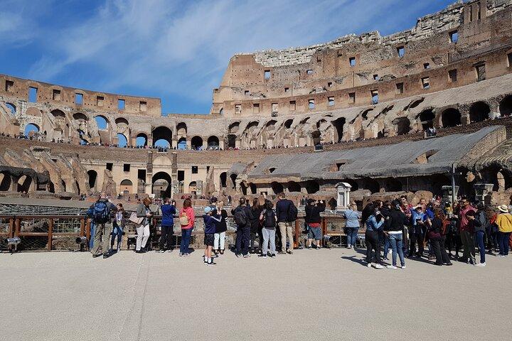 Roma: Coliseu Gladiator Arena Fórum e Palatine Guided Tour