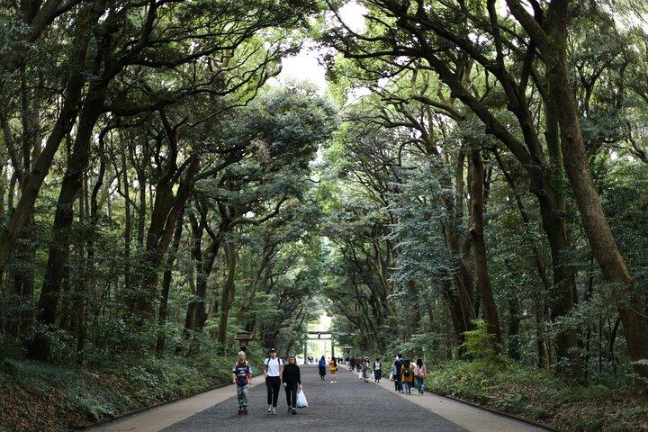 東京のカスタマイズされた 4 時間のプライベート ガイド ツアー