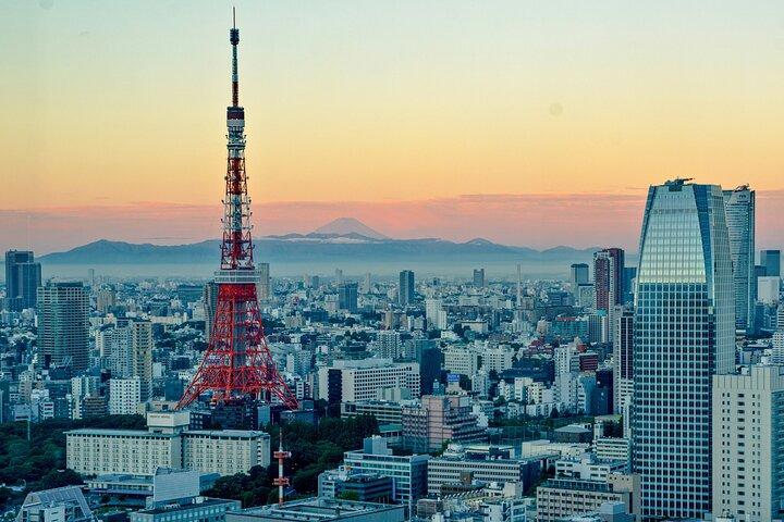 東京のカスタマイズされた 4 時間のプライベート ガイド ツアー