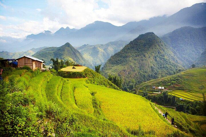 5 - Tag Nordvietnam : Sa Pa - Ninh Binh - Halong Kreuzfahrt von Hanoi