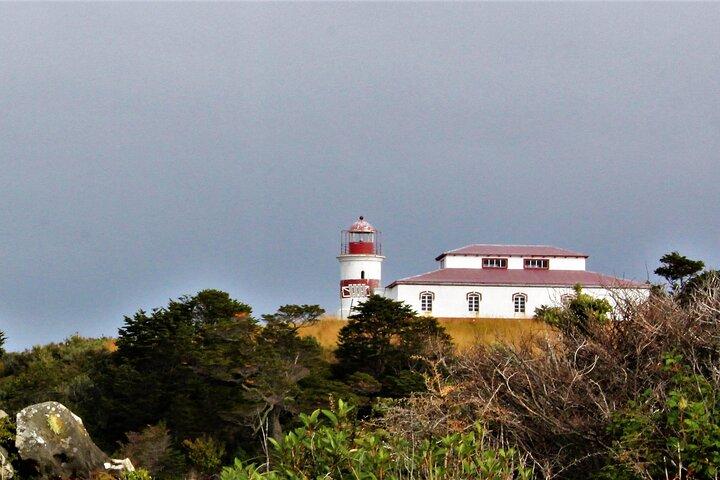 Escursione sul mare a Faro San Isidro Punta Arenas Day Tour