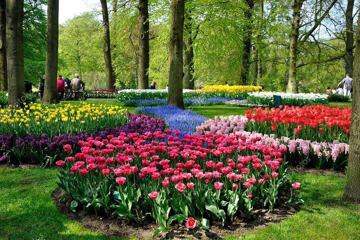 キューケンホフ-ロッテルダム、デルフ＆ハーグの春の庭園