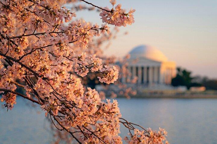 D.C. Monuments & Landmarks: Full-Day Tour from New York