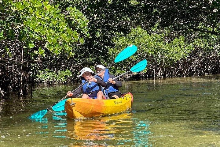Robinson Preserve Mangrove Tour