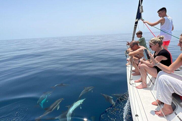 Gemeinsames Segelerlebnis in Marbella, Delfine, Getränke, Elan 37