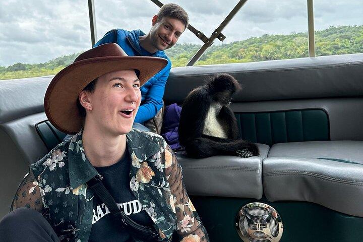 3-dages tur i Maya-verdenen: Tikal, Yaxha og Island Adventures