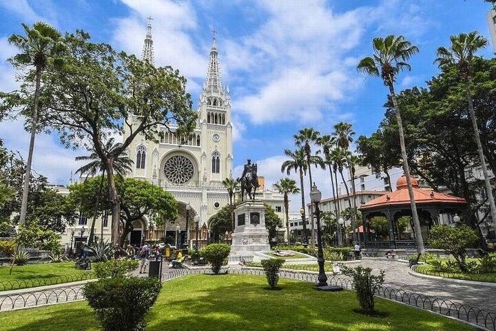 Tour privato di mezza giornata a Guayaquil con un autista professionista