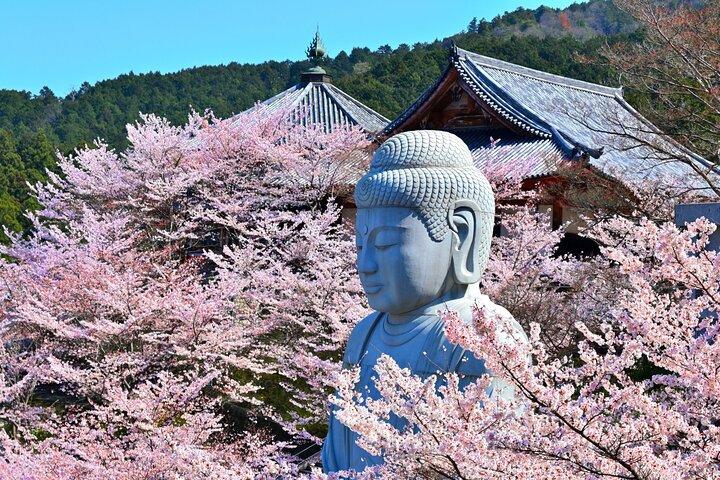 桜大仏と吉野山 いちご狩りツアー