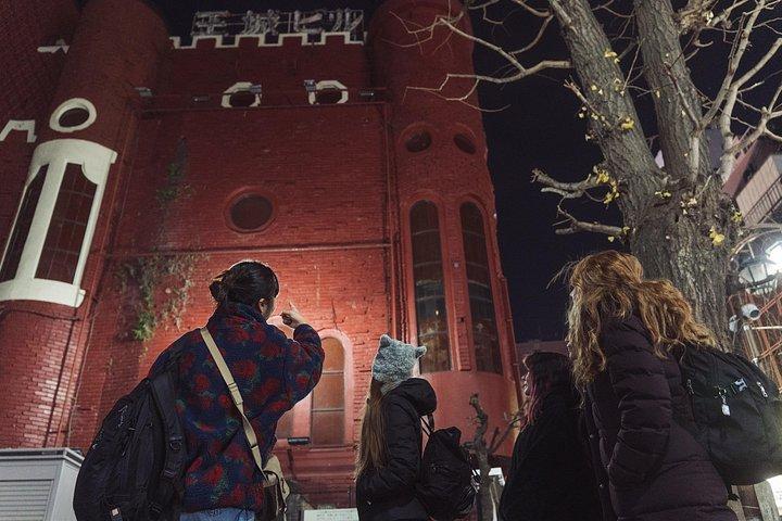 Private Kabuki-cho Tour with Local Guide