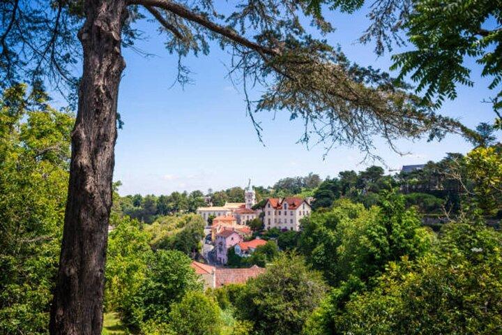 From Lisbon: Sintra, Pena & Winery Tour with Tasting Small-Group