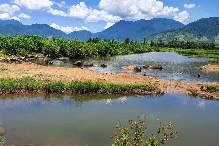 Passeio de moto de Hue a Danang ou Hoi An via Hai Van Pass