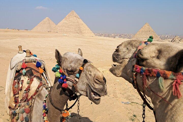 Saqqara og Giza Pyramider Tour med Camel Ride