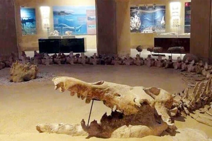 Day Tour to EL Fayoum From Cairo