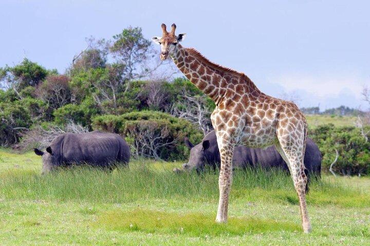 Halvdagshamn Elizabeth & Kragga Kamma Reserve